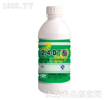 72%2��4�ζ���-�G��