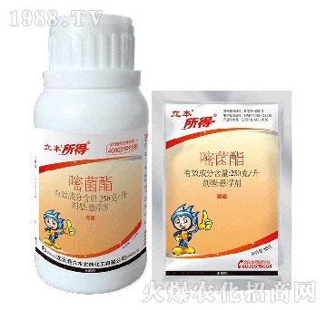 250��/���׾����Ҹ�