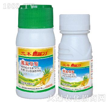 30%�����������-���{��-��������