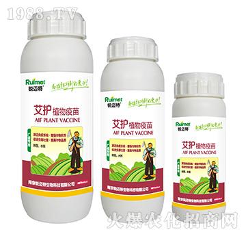 ���o(h��)ֲ�����磨�V�V�ͣ�-�J�~��