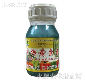 ֲ���S����-�ذ�Ȫ