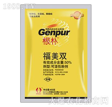 50%�����p-����-�A