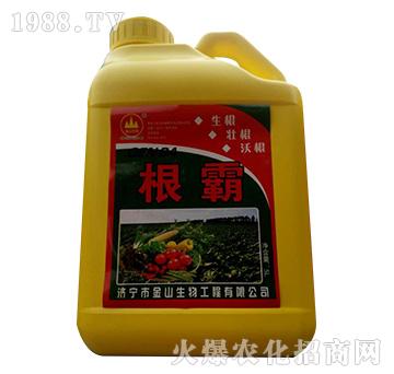 ����-��ɽ����