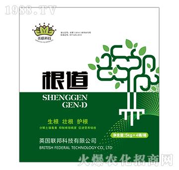 ����-Ӣ(li��n)�Ƽ�-�ذ�Ȫ