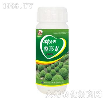 �ִ��������-�r�_����