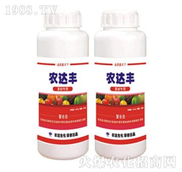 �r�_�S-���ϑB(t��i)-�r�_��