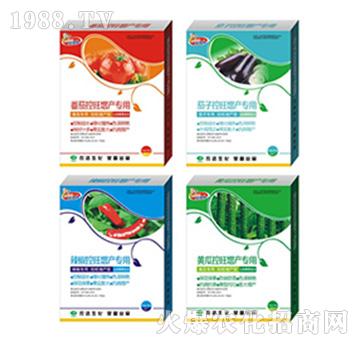 ���������ӡ��������S��