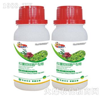 �t���������a(ch��n)����-�r�_