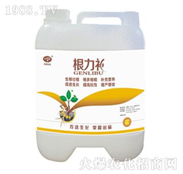 �����a-�r�_����