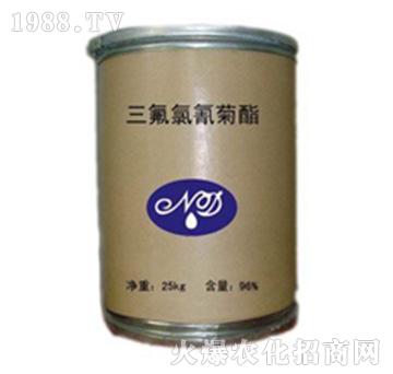 �����������-�r�_����