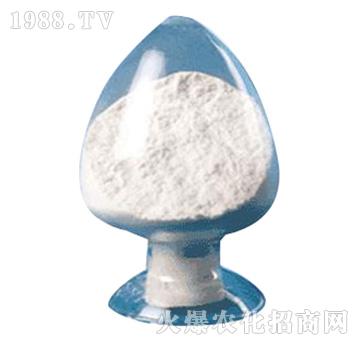 �|̦�؃���-�r�_����