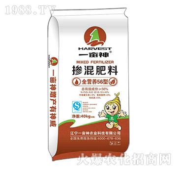 ȫ�I�B(y��ng)56�͓������2