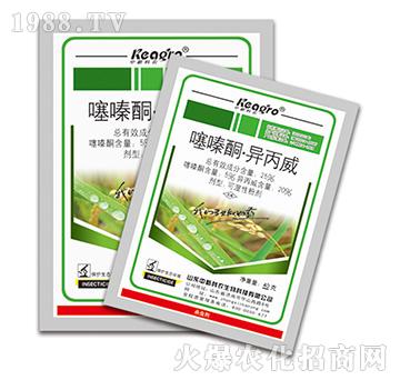 25%���ͪ��������-