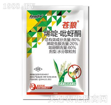 80%ϩड�����ͪ-�n