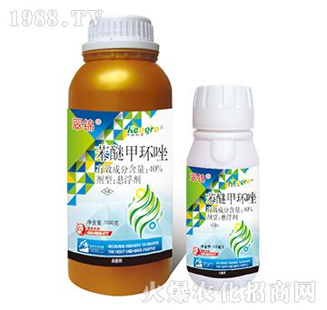 40%���Ѽ׭h(hu��n)��-���\