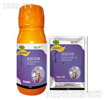 40%ϩ������-�����p