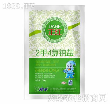 2��4���c�}-���t-�h(yu��n)