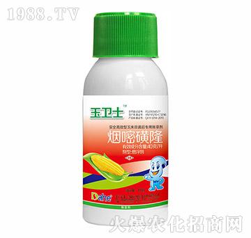 ���׻�¡-���l(w��i)ʿ-�h(yu��n)Ҋ