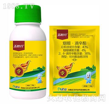 40%���ס�������-��