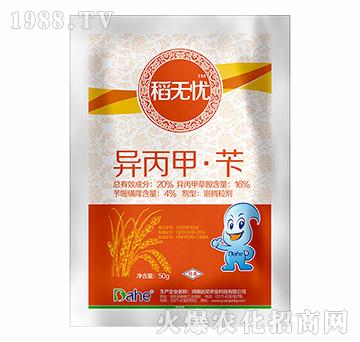 20%�����ס��S-���o