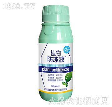 ֲ�����Һ-���