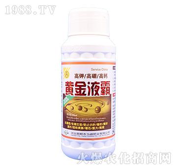 ��⛸�����}-�S��Һ��