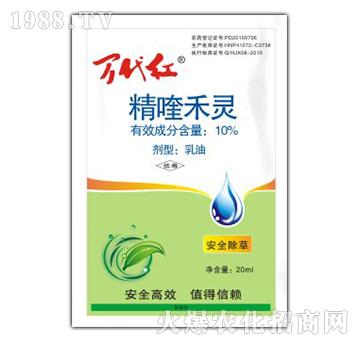 10%��୺��`-�f���t