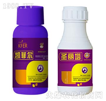 �{��(ji��)��-�P�Ơ�+ʥ����-�����r(n��ng)�I(y��)