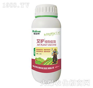 ���o(h��)ֲ�����磨�V�V�ͣ�-�J�~��