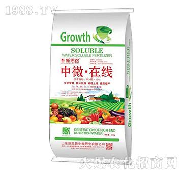 ��΢���ھ�-��˼·