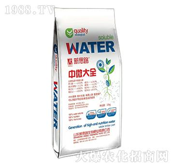 ��΢��ȫ-��˼·