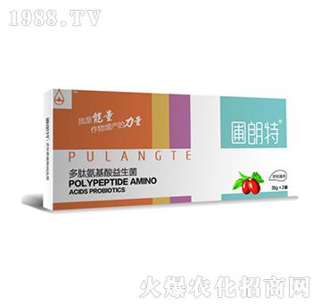 ����ͨ��-���İ�����������-������