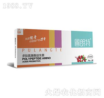 ��֦����-���İ�����������-������