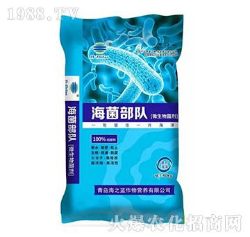 ΢�������-�������(du��)-