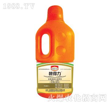 ������-һ����