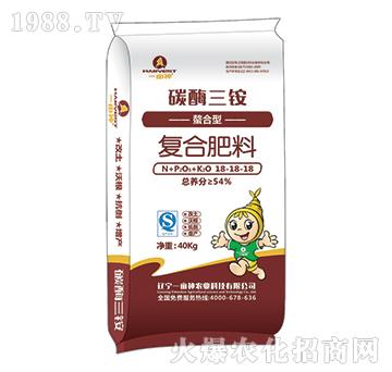 ̼ø���@�����͏�(f��)�Ϸ���