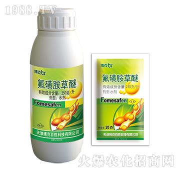 250��ÿ�����ǰ�����