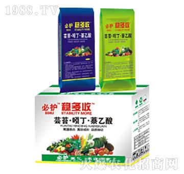 �|̦���Ŷ���������-��(w��n)