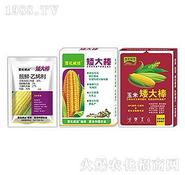 �������L(zh��ng)�{(di��o)��(ji��)��-�����