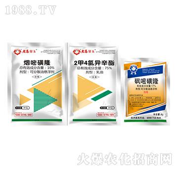 10%���׻�¡+75%2��4�Ȯ�����+17%���׻�¡-�����r�I(y��)