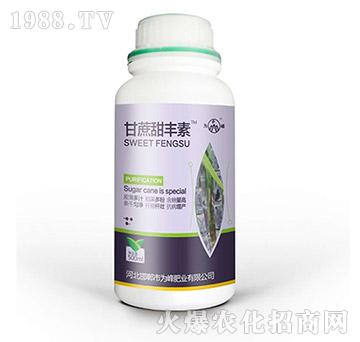 �������S��-���ʘI(y��)