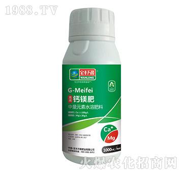 ����Ԫ��ˮ�ܷ���-�߼�