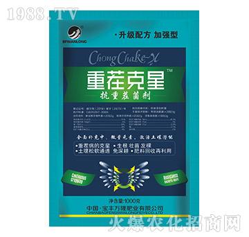 ���ز����-�ز����-