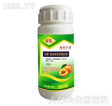 �Ҙ�(sh��)���ÿݲݡ��z�����