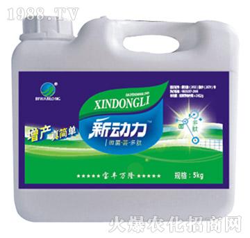 ΢�����|������-���S�f(w��n)