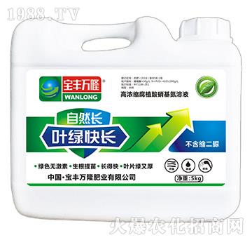 �ߝ�s��ֲ����������Һ-���S�f(w��n)¡