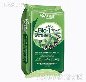 ΢�������-�ָ���-��