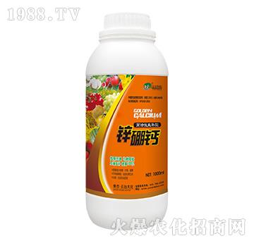 �߻���ֱ�a(b��)���\���}-���_(t��i)��