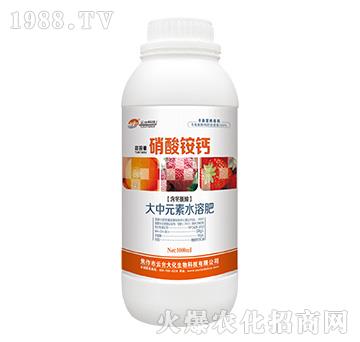 ���_(t��i)�������@�}-���_(t��i)��