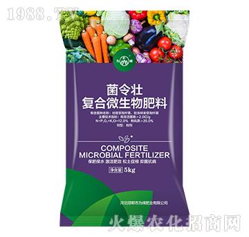 �ͺ�΢�������-�����-���